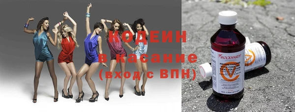 стаф Алзамай