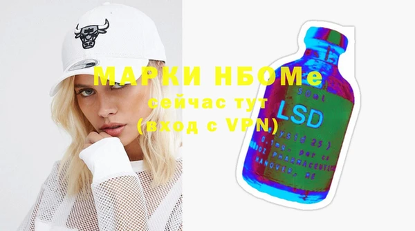 стаф Алзамай