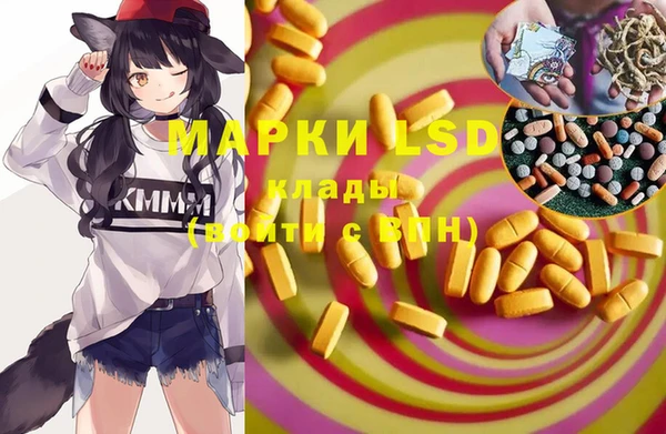 гашик Алексеевка