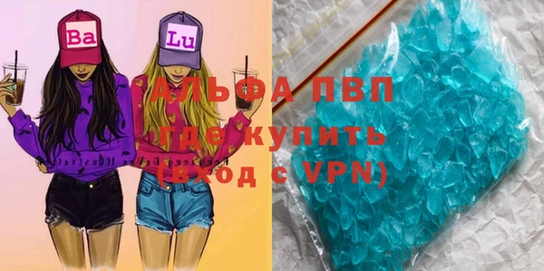 стаф Алзамай