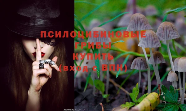 гашик Алексеевка