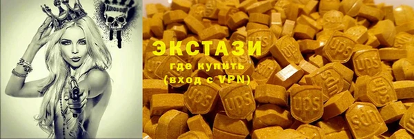 стаф Алзамай