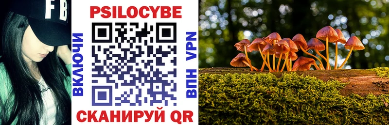 Галлюциногенные грибы MAGIC MUSHROOMS  купить наркотик  Куйбышев 